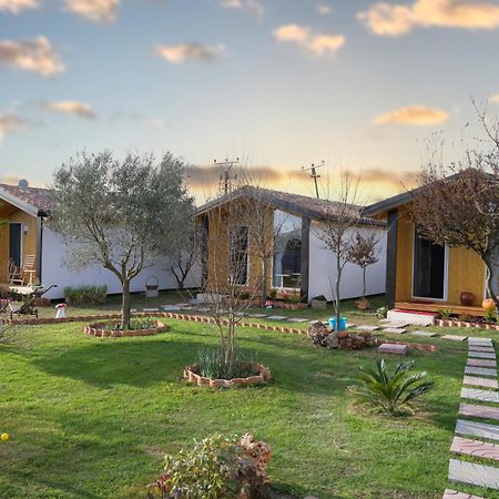 Hotel Villa Linda Шкодер Экстерьер фото